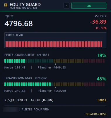 Panneau Equity Guard : equity, perte journalière et drawdown maximal avec barres de progression